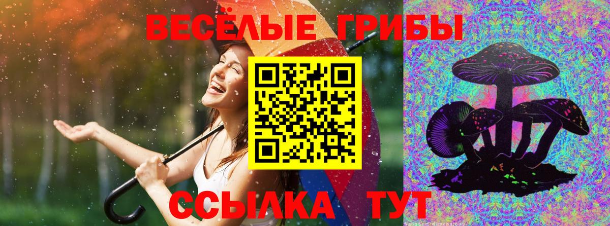 Псилоцибиновые грибы мухоморы  купить  цена  Спасск-Дальний  Вход с VPN 