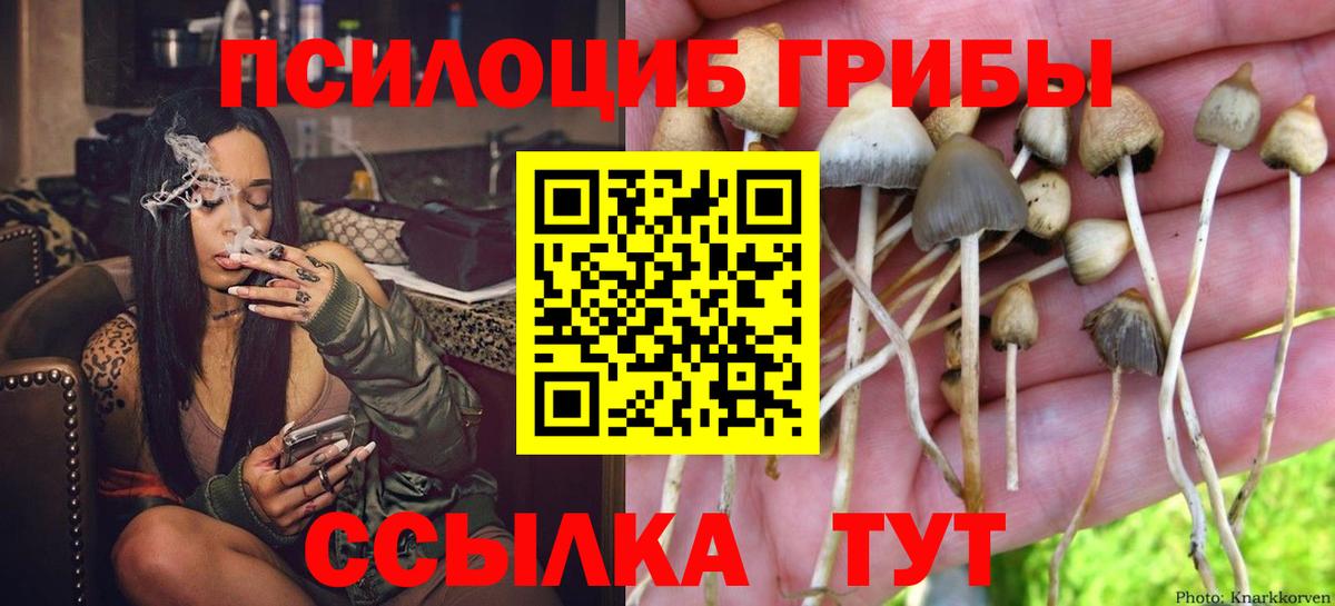 Псилоцибиновые грибы Cubensis Спасск-Дальний