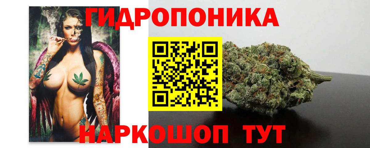 Конопля индика Спасск-Дальний